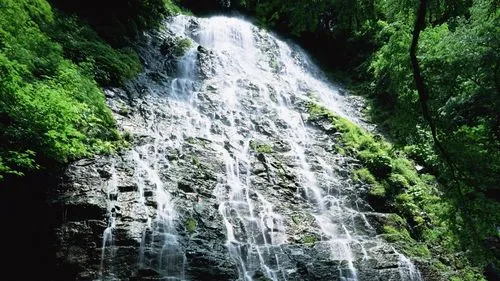 先进自动化高端